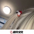 小奶瓶、圈妹、小可、DJ豌豆好吃 - 洪荒之力