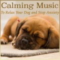 Dog Music Dreams、Relax My Puppy、Relaxmydog - Genius Puppy