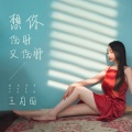 王月园 - 想你伤肝又伤肺