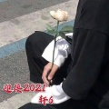 轩6 - 越南鼓