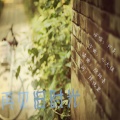阿夏 - 再见旧时光