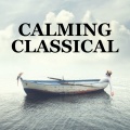 Johannes Fritzsch、Tasmanian Symphony Orchestra、Tamara Anna Cislowska - Pelēcis: Concertino bianco - 2. Con venerazione