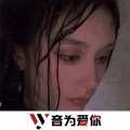 7美人、虞姬、圈妹、车载音乐汇 - 野狼的士高