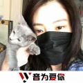 苏九、虞姬、圈妹、车载音乐汇 - 干饭人之歌