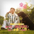 陈伟霆 - 新年快乐