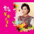 龙飘飘、罗宾 - 吉语祥言迎新年