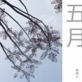 贾锦江 - 五月 (吉他独奏曲版)