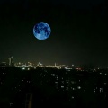 王槿天 - 我想做你的新郎