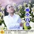 雨中百合 - 雨中百合