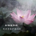 江华 - 妙法莲华经观世音菩萨普门品