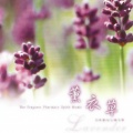 薰衣草 (芳香疗法心灵音乐)