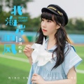北海岸的风