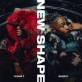 New Shape (Explicit)