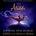 ZAYN、Zhavia - A Whole New World