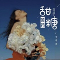 云菲菲 - 甜糖苦药