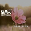 尕让邓真 - 格桑花
