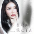 我陪你熬过了苦 (伤感女声版)