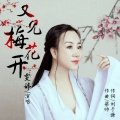 雯婷 - 又见梅花开