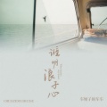 车厘子的车车 - 谁明浪子心