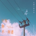 车厘子的车车 - 只有你不知道