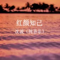 沈波 - 红颜知己