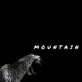 Mountain - This Is What You Came For (MountainRemix)