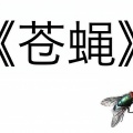 祖娅纳惜 - 苍蝇
