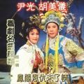 尹光、胡美仪 - 凤阁恩仇未了情