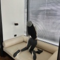 詹小酱 - 适合与不适合相处才知道