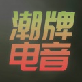 潮牌电音 - 顶天立地 (remix)