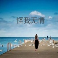 小溪 - 怪我无情