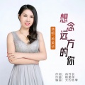杨美华 - 想念远方的你