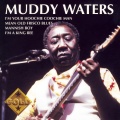 Muddy Waters - I Can't Be Satisfied