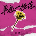 童珺 - 单恋一枝花