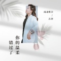 吉萍 - 错过了你的温柔