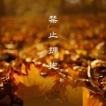 暴雨 - 禁止拥抱