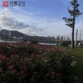 一只千纸鹤 - 梦中熟悉的情人