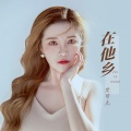 艾可儿 - 在他乡