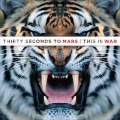 Thirty Seconds to Mars - Closer To The Edge