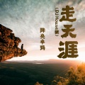 降央卓玛 - 走天涯