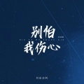 刘家奇阿 - 别怕我伤心