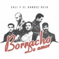 Cali Y El Dandee、Reik - Borracho De Amor