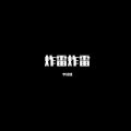李诗情 - 水星记 (DJ版)