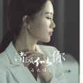 石大侠 - 清风似你