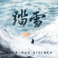 邓寓君(等什么君) - 踏雪