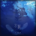 三叔说 - 羽翼