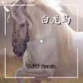 樊竹青 - 白龙马