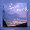 佳音 - 总以为来日方长