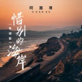 阿国哥 - 惜别的海岸