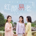 晴天姐妹 - 红颜易老